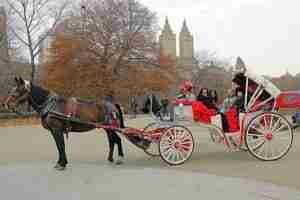 bow-bridge-proposal-horse-and-carriage horse carriage tours central park