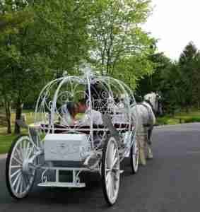 central-park-wedding-horse-and-carriage private horse and carriage tours for weddings