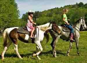 horseback-riding-central-park-new-york horseback riding in central park new york